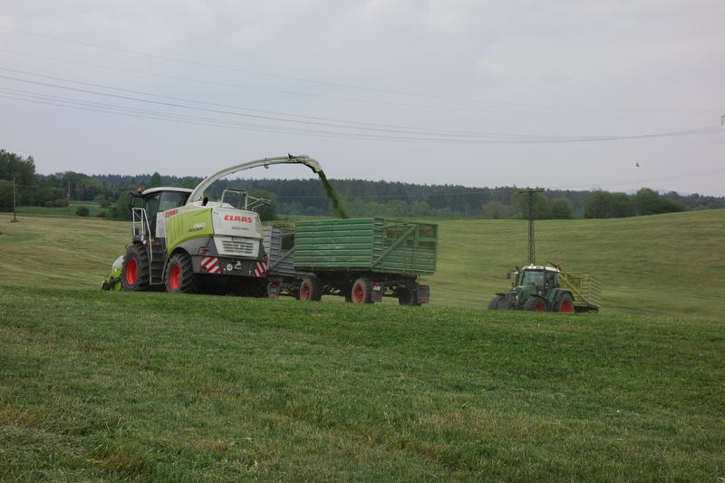 bilder/23_5_2015/DSC01491.jpg