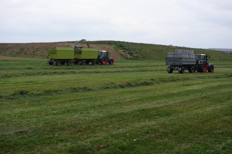 DSC01500.jpg