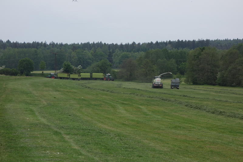 bilder/23_5_2015/DSC01511.jpg