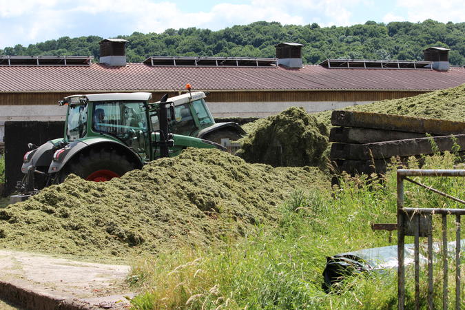 bilder/30_9_2005/jaguar_2x_fendt_7.jpg