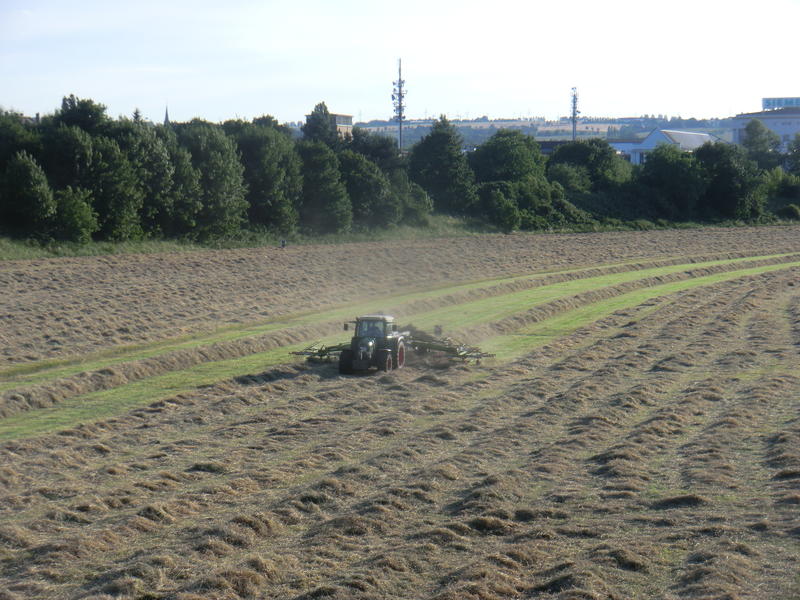 bilder/23_6_2014/CIMG3331.jpg