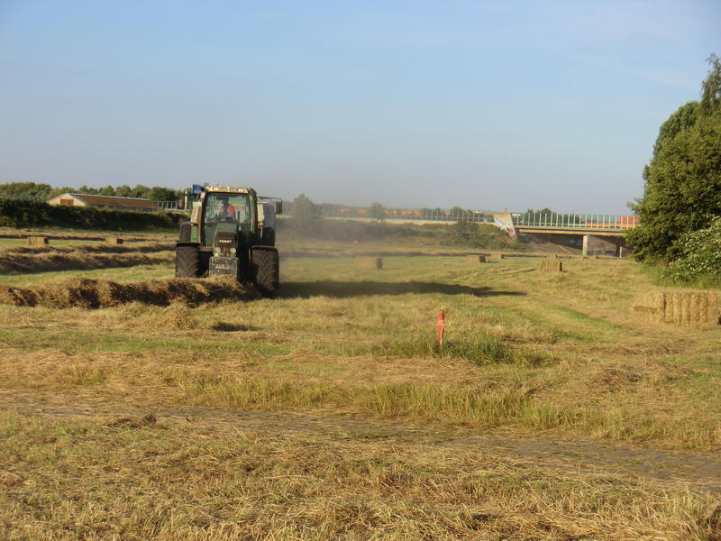 bilder/1_8_2011/CIMG3943.jpg