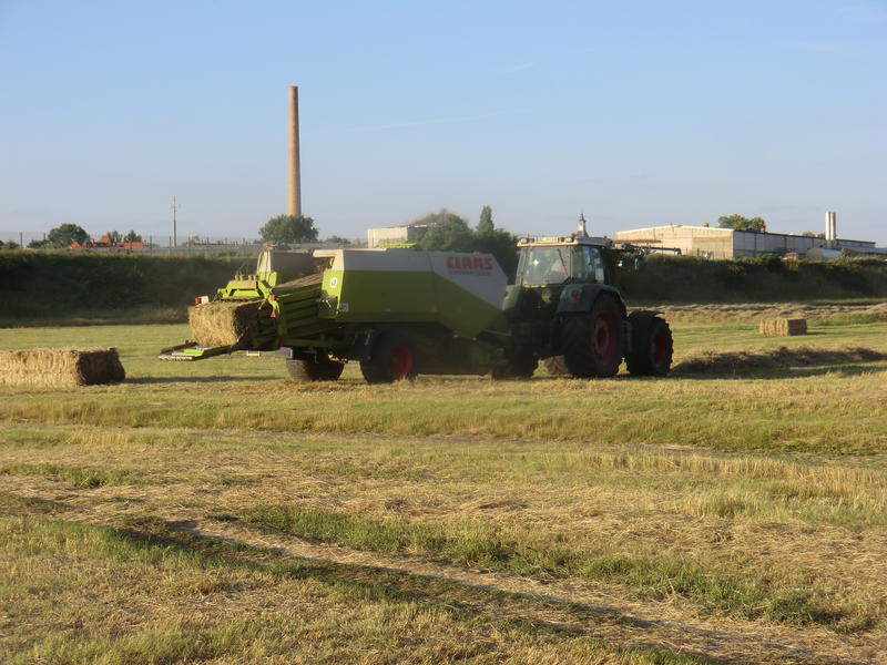 bilder/23_6_2014/CIMG3344.jpg