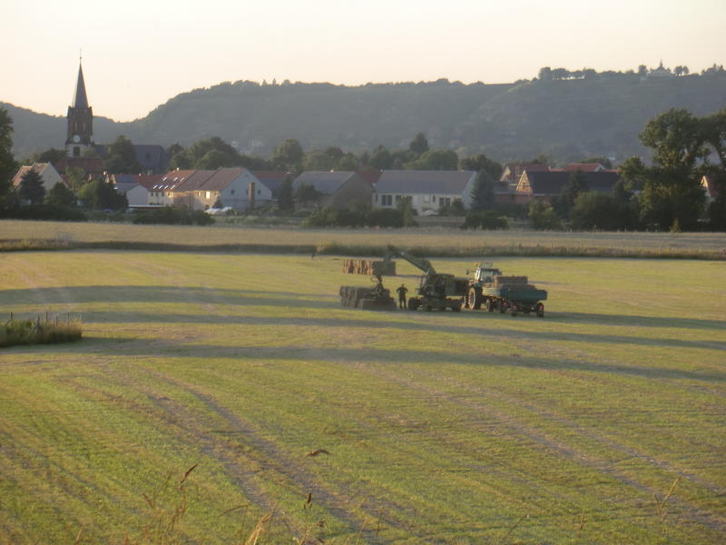 bilder/23_6_2014/CIMG3370.jpg