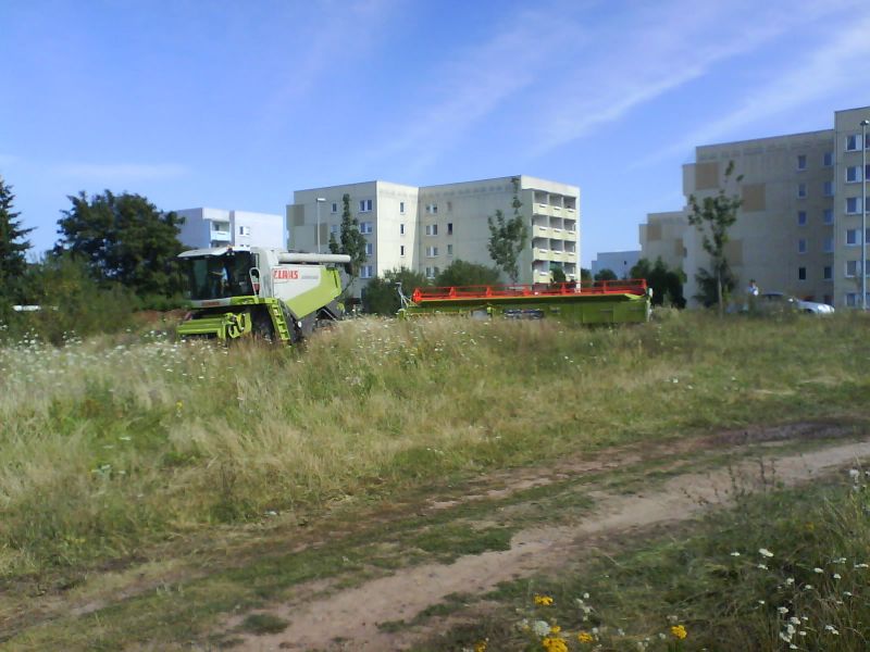 DSC00407.jpg