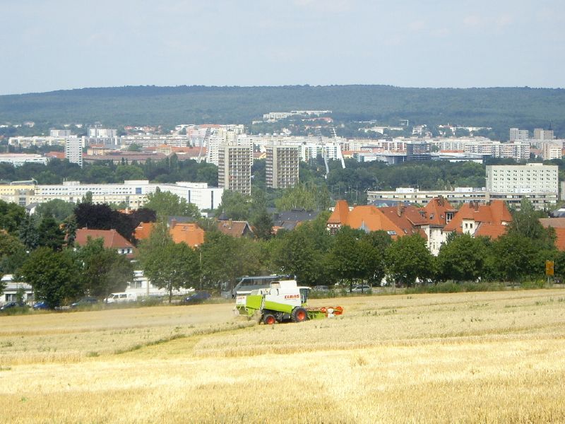 IMGP0420.jpg
