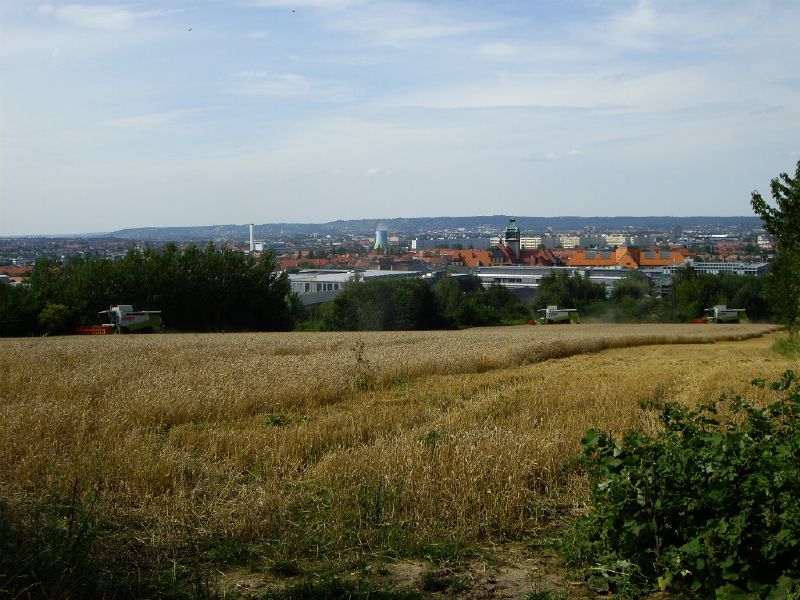 IMGP0458.jpg