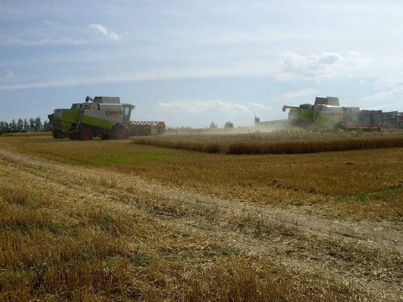bilder/3_9_2011/CIMG4660.jpg
