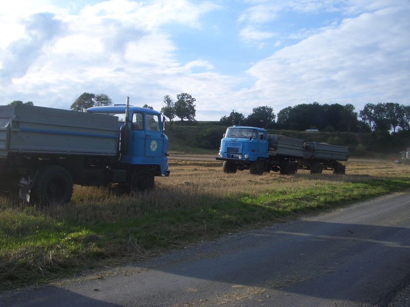 IMGP4622.jpg