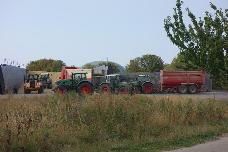 bilder/13_5_2014/CIMG2343.jpg