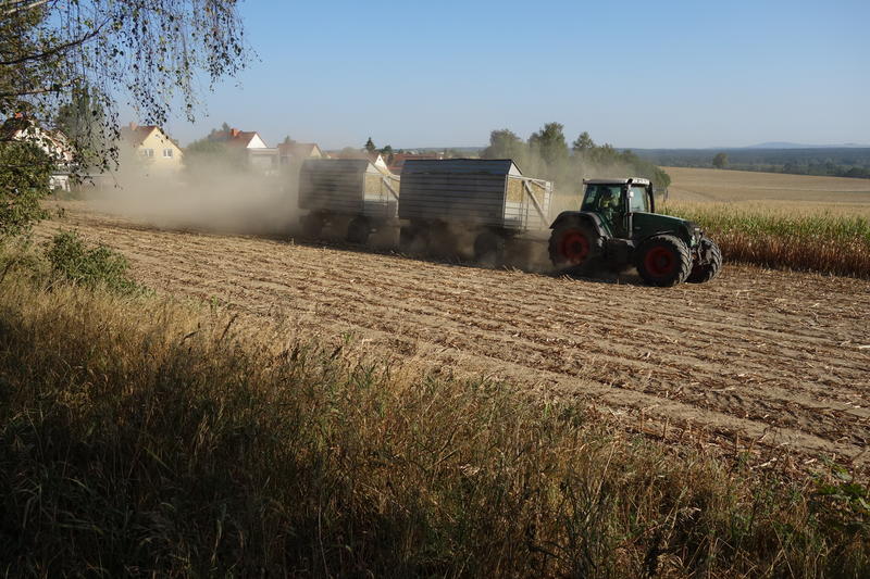 bilder/23_8_2018/DSC04258.jpg