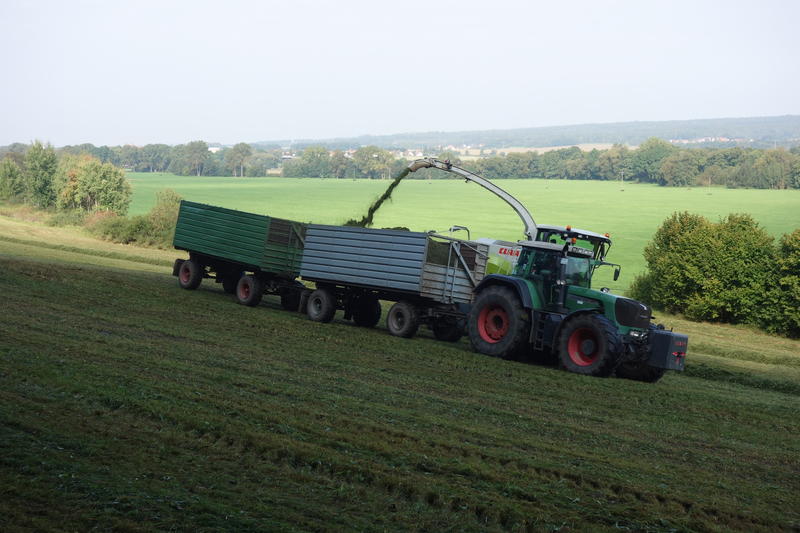 bilder/23_4_2003/terra_gator_+_tatra.jpg