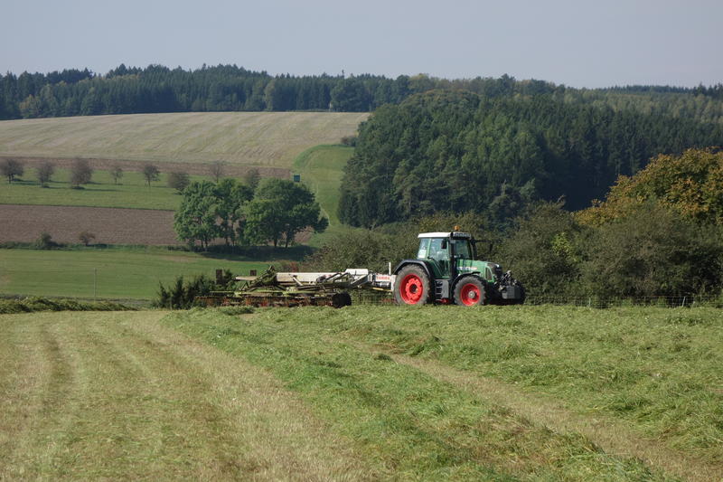 bilder/11_8_2005/w50_2.jpg
