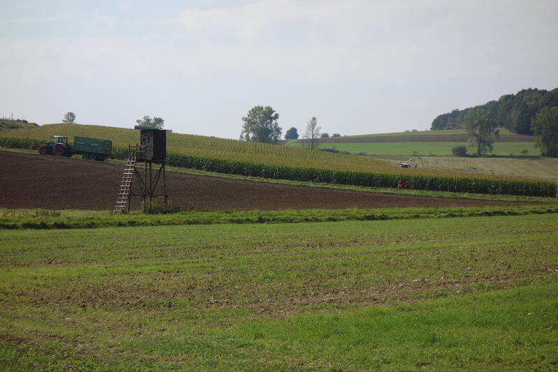 bilder/23_9_2017_3/DSC00506.jpg