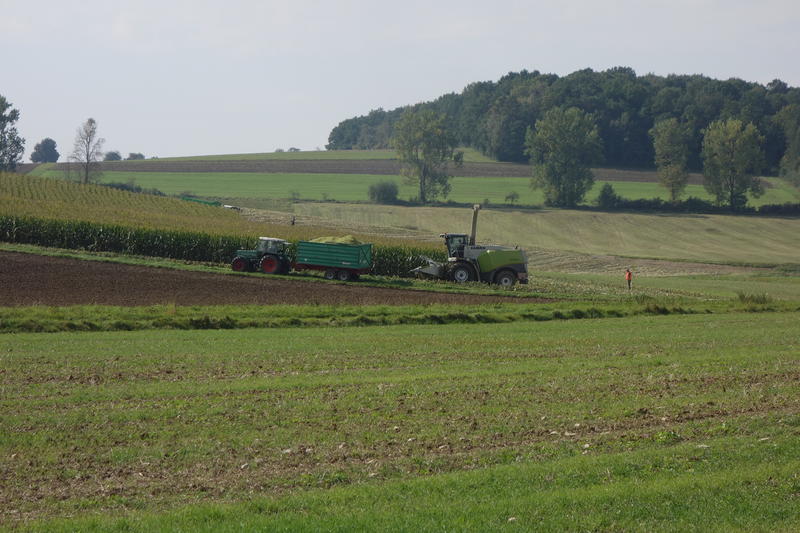 bilder/31_8_2014/CIMG7909.jpg