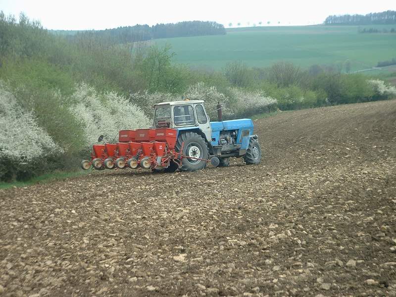 bilder/24_4_2004/zt_303_3.jpg