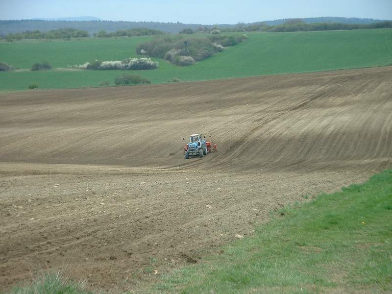 bilder/8_9_2006/IMGP5447.jpg