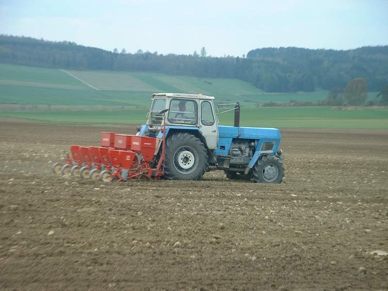 bilder/5_8_2008/IMGP1108.jpg