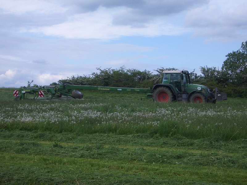 bilder/13_8_2002/fendt_716_3.jpg