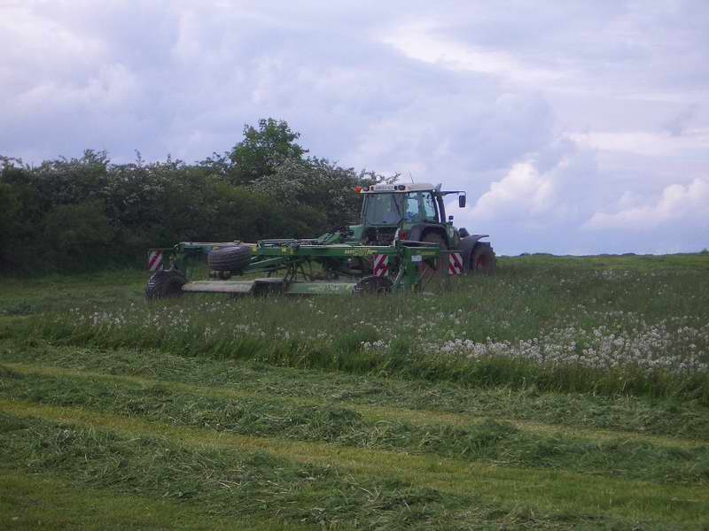 bilder/24_5_2005/fendt_716_8.jpg