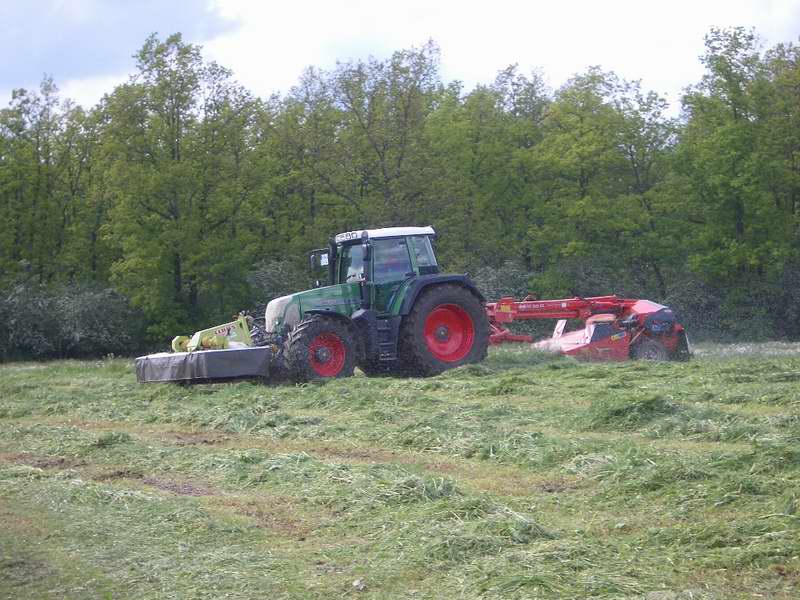 fendt_818_17.jpg