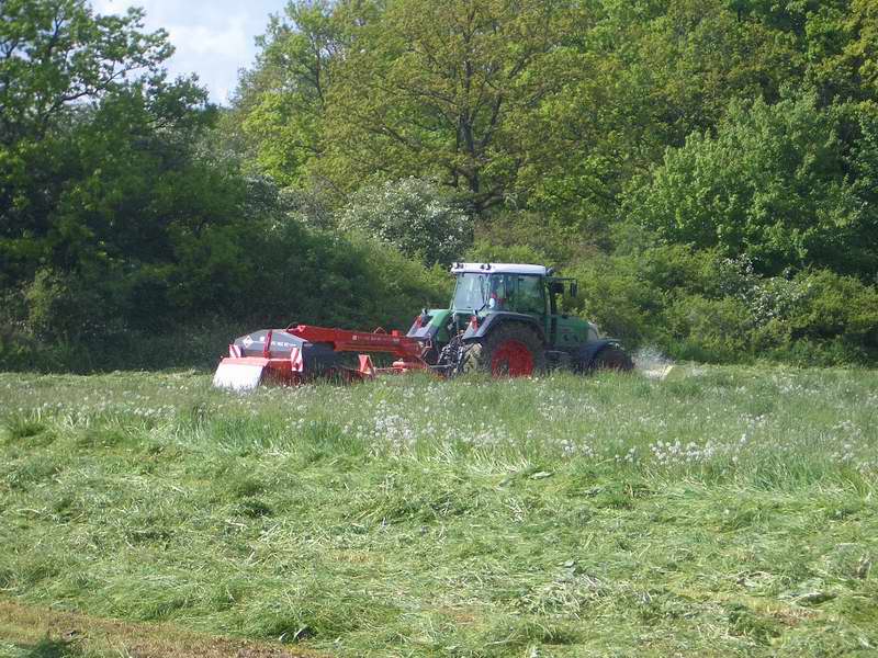 fendt_818_5.jpg