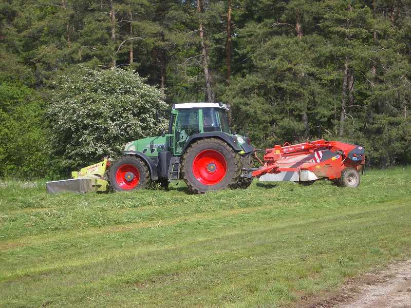 bilder/25_8_2002/lexion_8.jpg