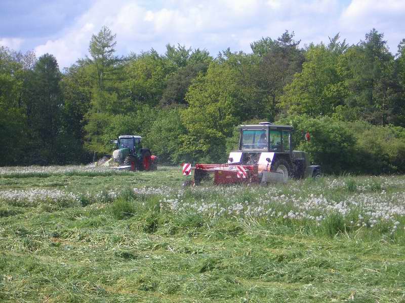 fendt_818_zt_323_2.jpg