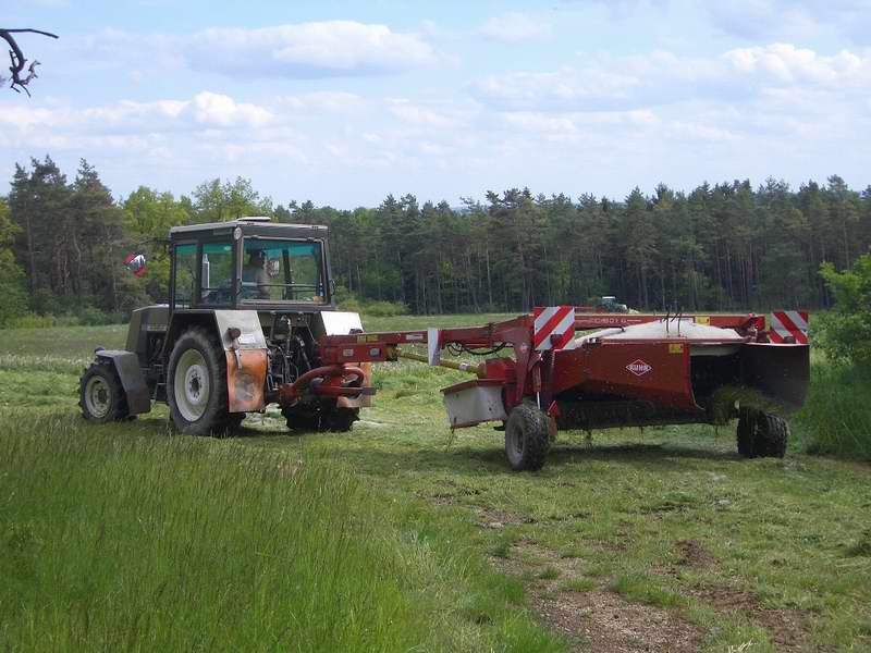 fendt_818_zt_323_4.jpg