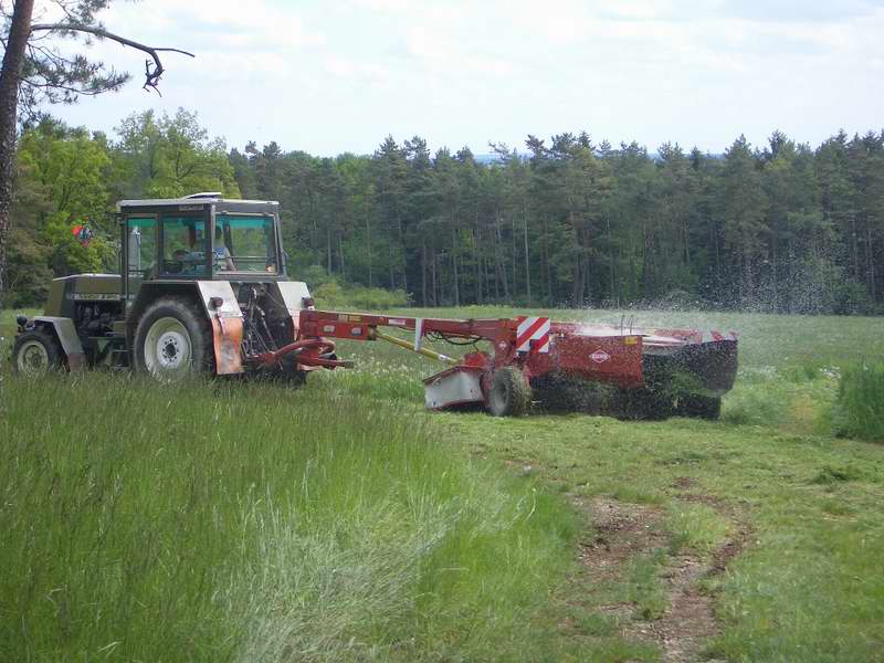 bilder/18_7_2003_2/terra_gator_+_tatra.jpg