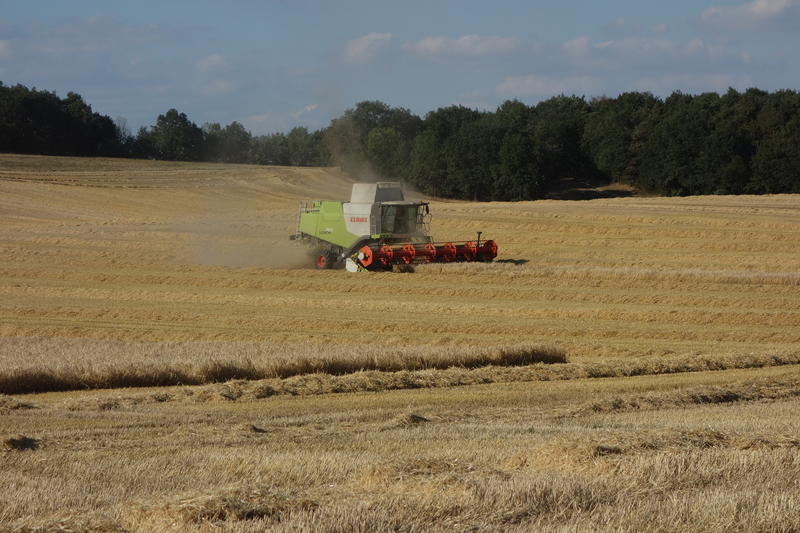 bilder/19_7_2012/CIMG9749.jpg