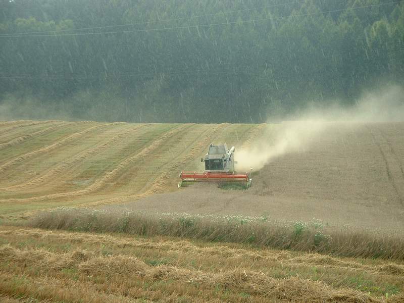 bilder/24_8_2002_1/lexion.jpg