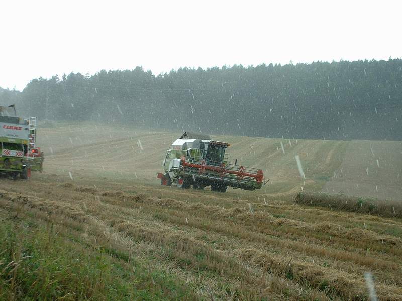 lexion_+_mega.jpg