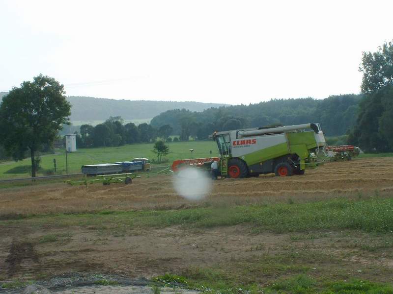 lexion_+_w50.jpg