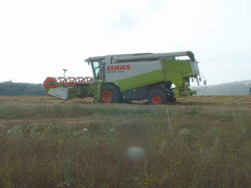 lexion_5.jpg