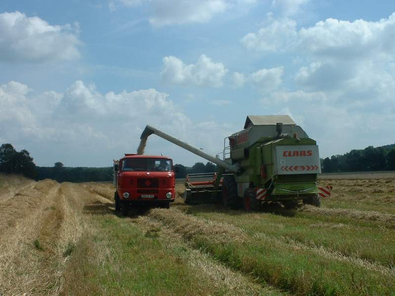 bilder/1_7_2013/CIMG7929.jpg