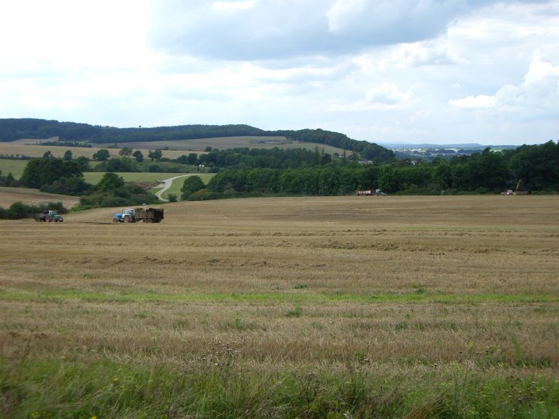 IMGP1309.jpg