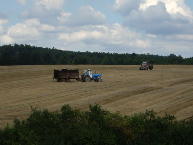 IMGP1318.jpg
