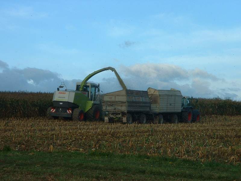 jaguar_+_fendt_514.jpg