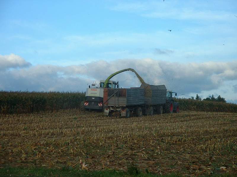 bilder/24_9_2002/jaguar_+_fendt_716_3.jpg