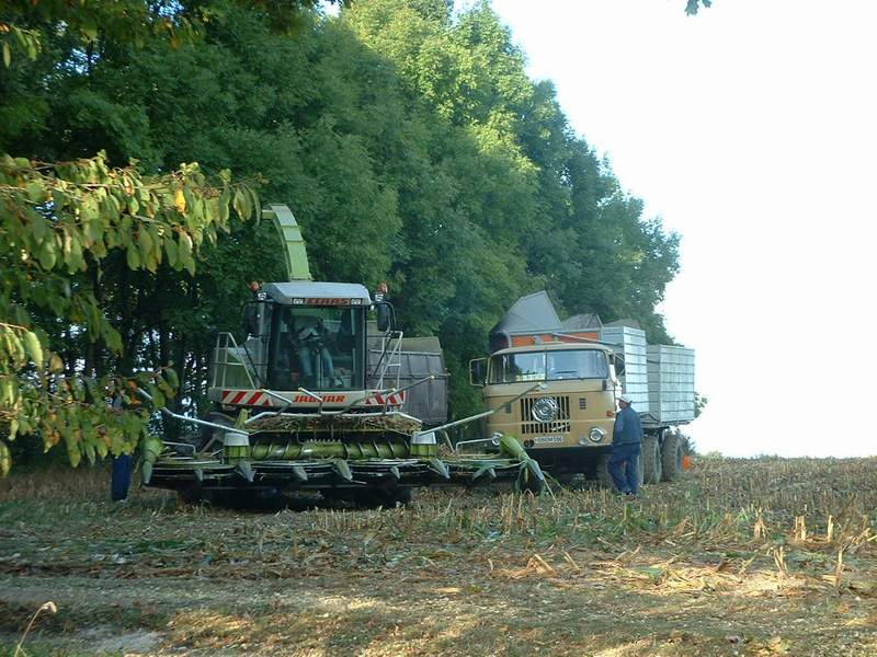 bilder/17_5_2004/2x_fendt.jpg