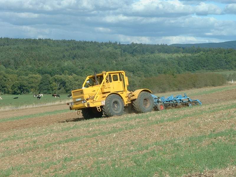 bilder/24_9_2003/k700_2.jpg