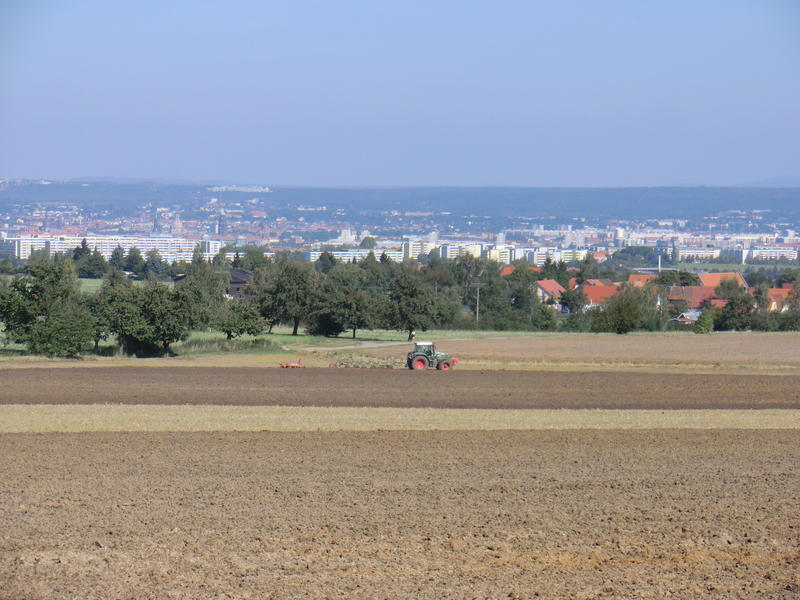 CIMG5046.jpg