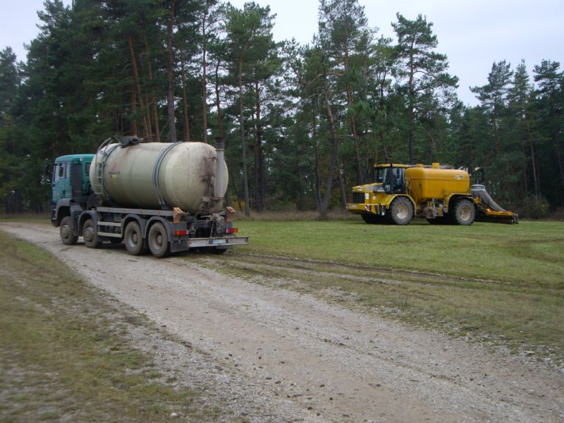IMGP2503.jpg
