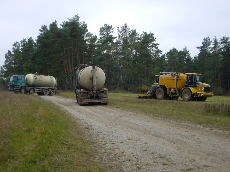 IMGP2506.jpg