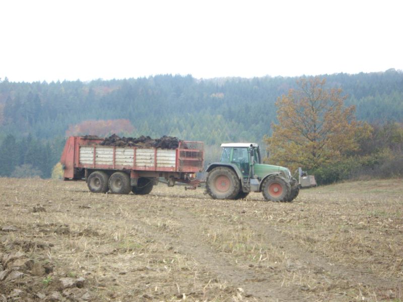 IMGP2511.jpg