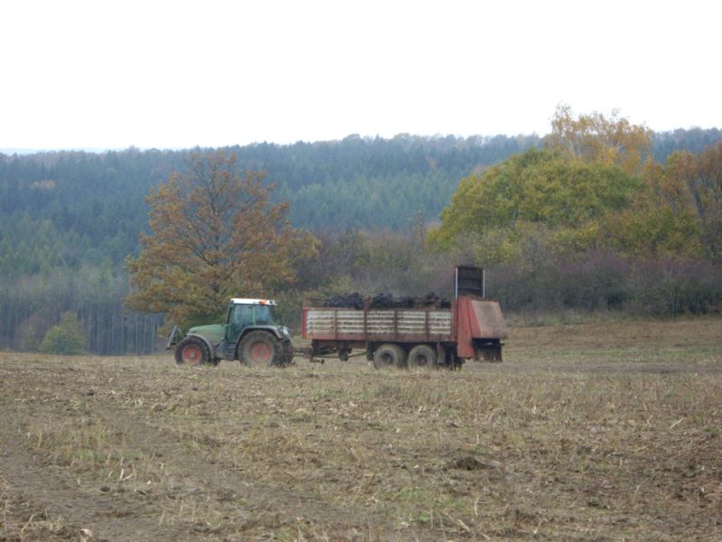 IMGP2512.jpg