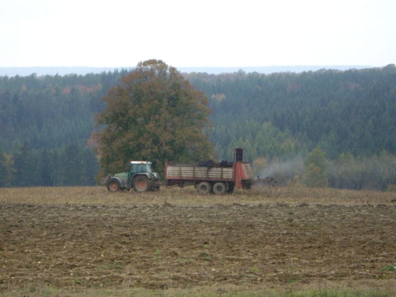 IMGP2514.jpg