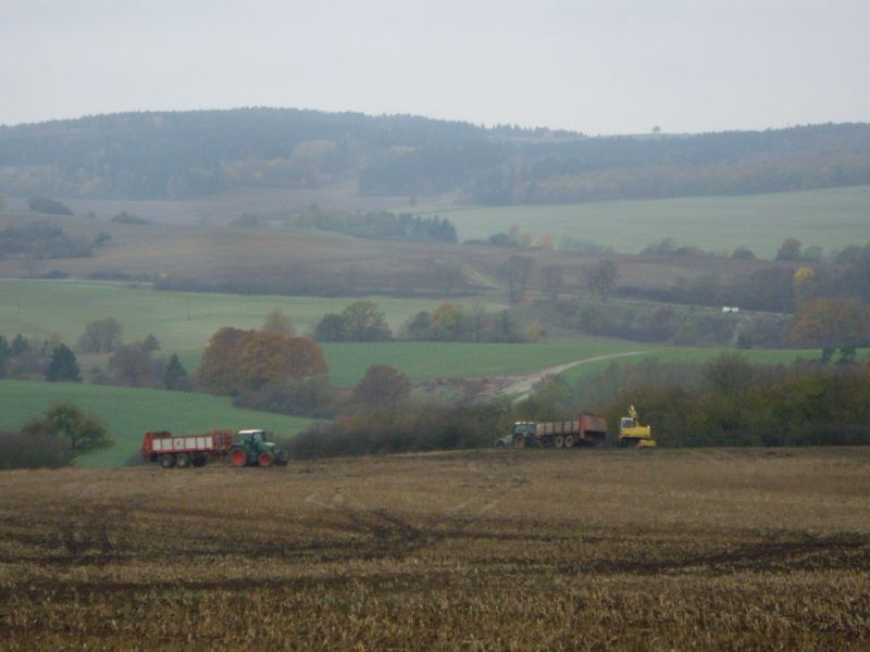IMGP2521.jpg