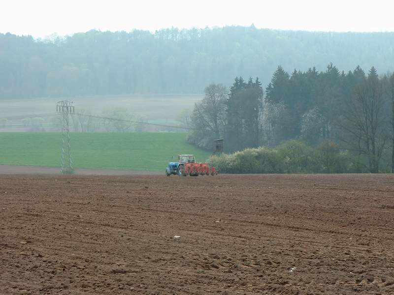 bilder/11_8_2005/lexion_16.jpg